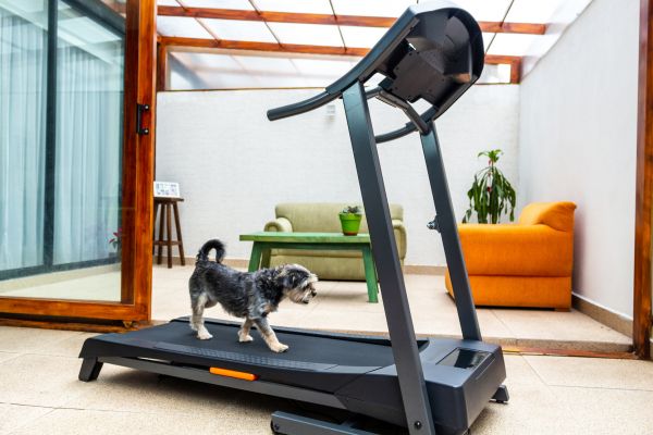 Treadmill Installation in Kirkland