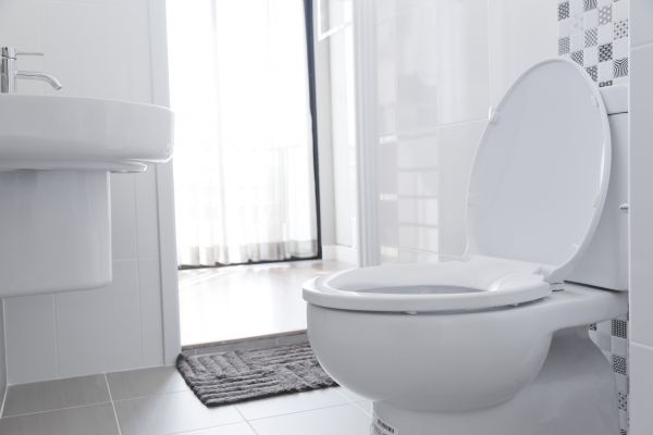 Toilet Seat Installation in Kirkland