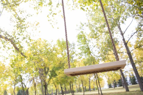Swing Installation in Kirkland