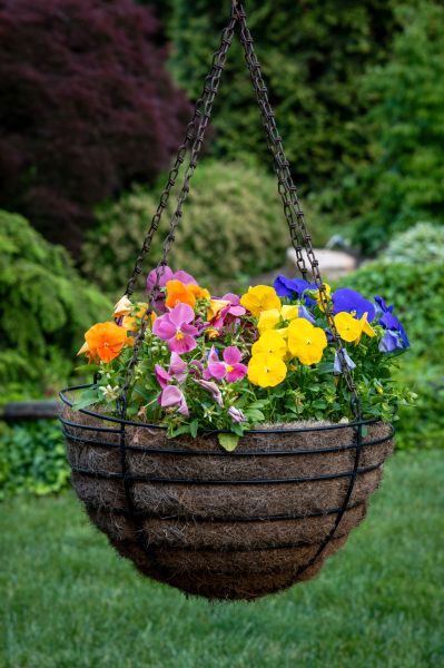Hanging Basket Installation in Kirkland