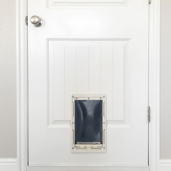 Pet Door Repair in Kirkland