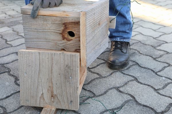 Birdhouse Mounting in Kirkland