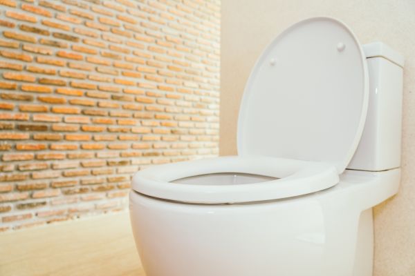 Toilet Seat Repair in Kirkland
